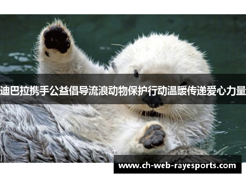 迪巴拉携手公益倡导流浪动物保护行动温暖传递爱心力量