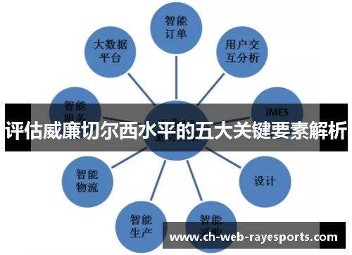 评估威廉切尔西水平的五大关键要素解析