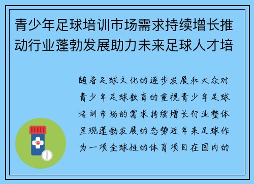 青少年足球培训市场需求持续增长推动行业蓬勃发展助力未来足球人才培养